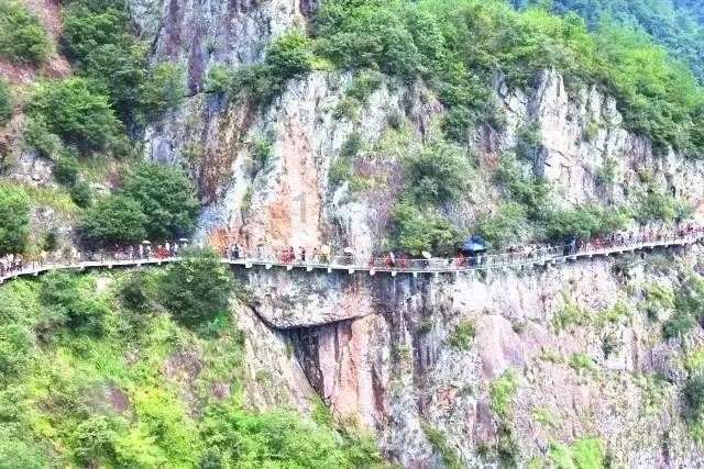 动物帮帮忙保卫家园